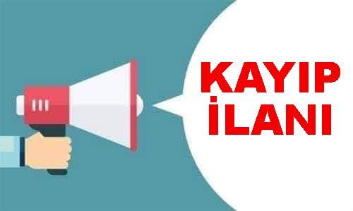 Muratlar Köyü'nde Kayıp Büyükbaş Hayvan Bulundu