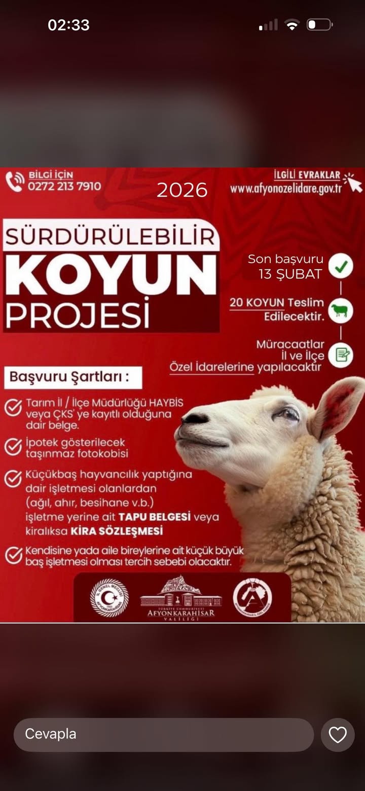 İl Özel İdaresi Tarafından Desteklenen Koyun Projesi Başvuruları Başlıyor