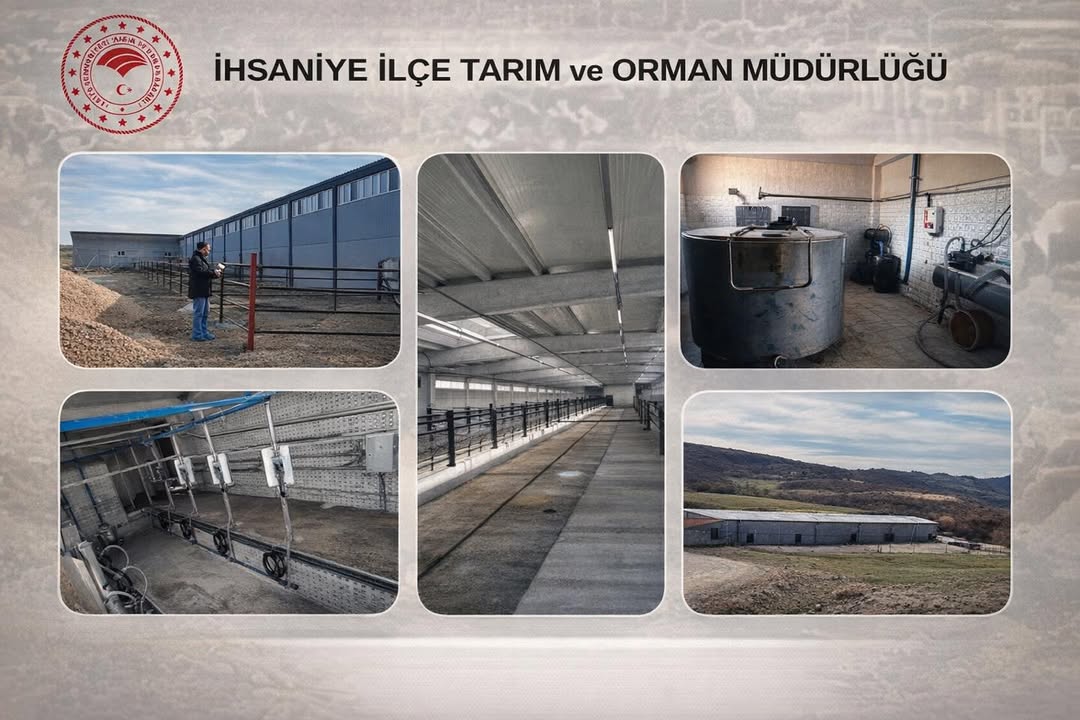 Eskieymir Köyünde TKDK Desteklemeleri ile Yapılan Büyükbaş Hayvan İşletmesine Veteriner Hekimlerden Ziyaret