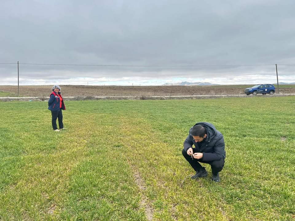 İhsaniye İlçe Tarım ve Orman Müdürlüğü'nün Planlı Üretim Arazi Kontrolleri