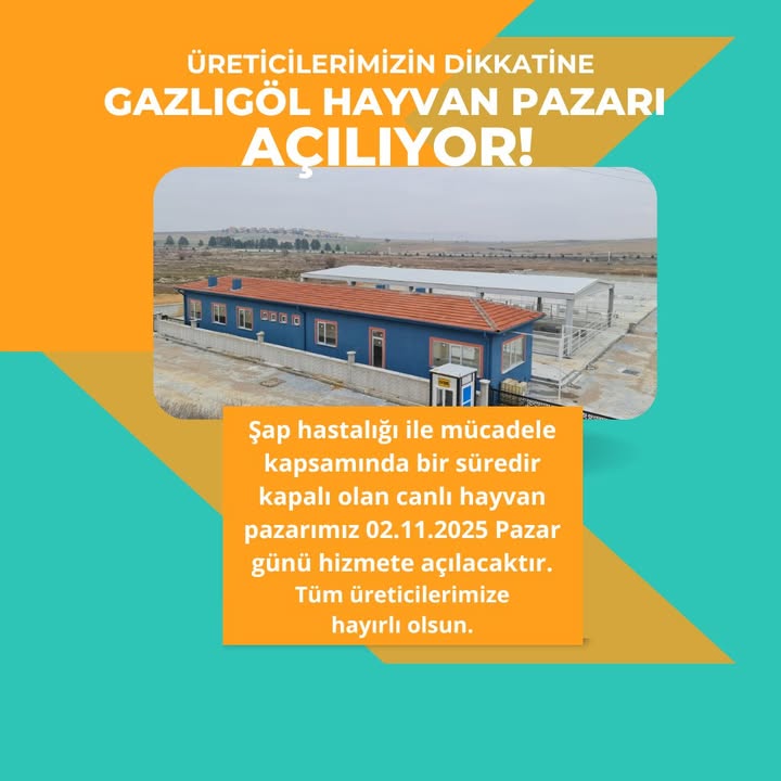 GAZLIGÖL HAYVAN PAZARI AÇILIYOR