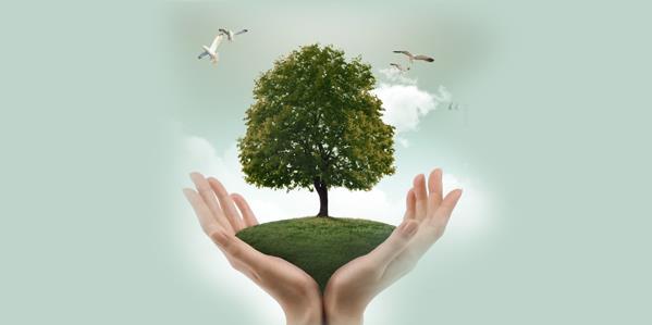 Sarıcaova'da Ağaç Dikimi Etkinliği - Detaylar ve Katılım Bilgileri